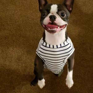 Meet your Posher, Scott